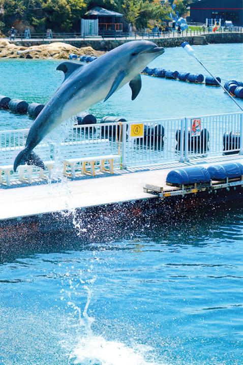 青少年の部 (公社)近畿海事広報協会会長賞 【空を泳ぐ】兵庫県 杠葉 絢美