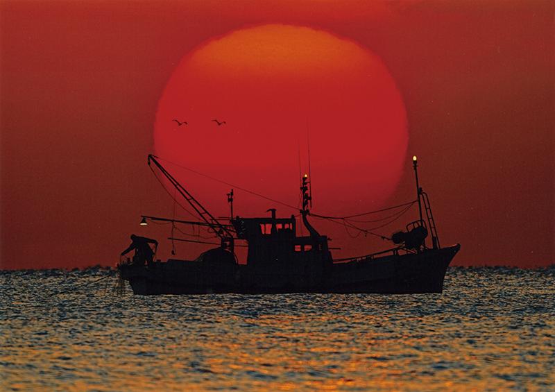 入選 (公社)近畿海事広報協会会長賞 【海に生きる】 宮崎県 富山 隆志