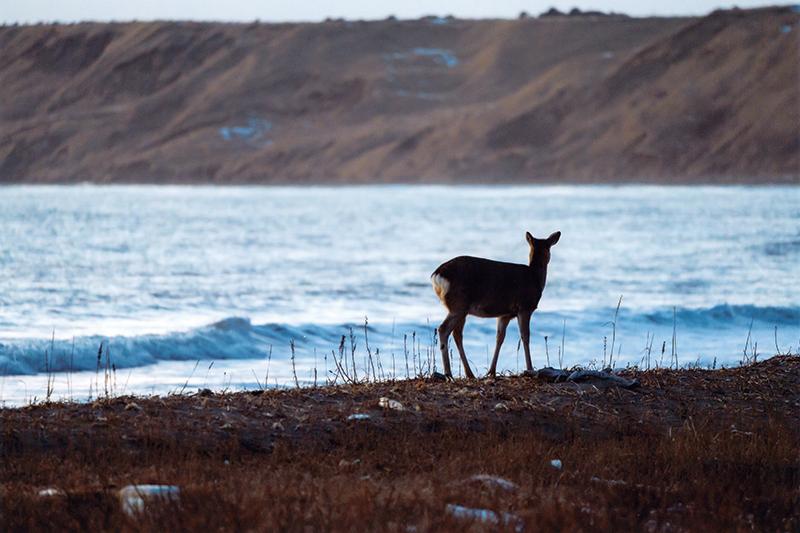 入選 (公社)近畿海事広報協会会長賞 【黄昏れる】 福岡県 中村 和貴